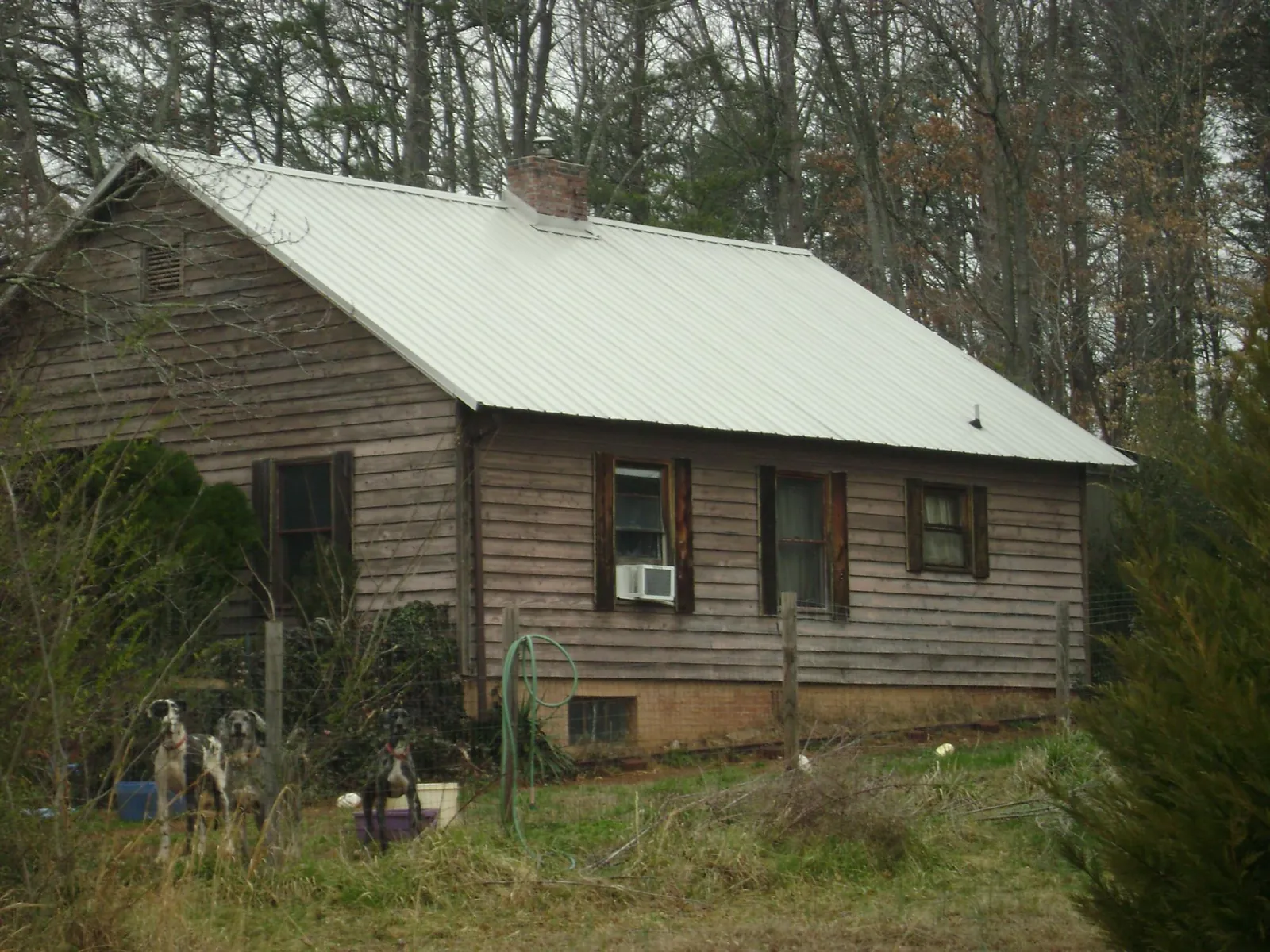 White metal roof on an old wood sided farmhouse, from a Asphalt Shingle Roof Repair job in Beallsville